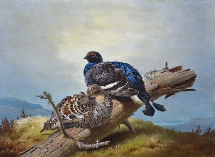 Ferdinand von Wright Teeret kaatuneen puun rungolla