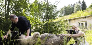 Retriittien suosio kasvaa – tiloja tarjoava kartano haluaa seurakunnat asiakkaikseen