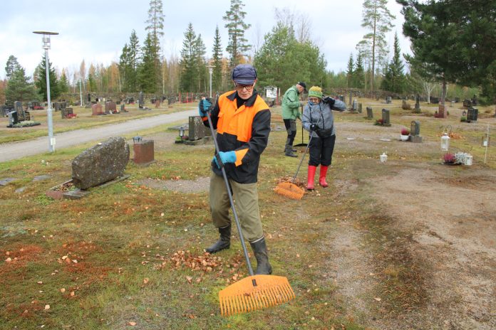 Haravointia Evijärvellä by Tomi Olli Kolme henkilöä haravoi syksyn lehtiä hautausmaalla. Etualalla oranssimustaan takkiin pukeutunut henkilö kokoaa lehtiä suurella haravalla. Taustalla toinen henkilö haravoi ja kolmas työskentelee hautakivien läheisyydessä. Hautausmaata ympäröivät havupuut.