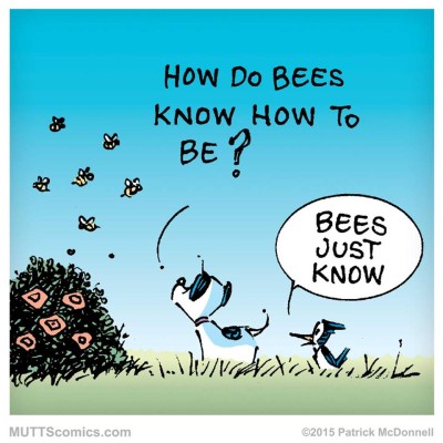 Mehiläiset tietävät