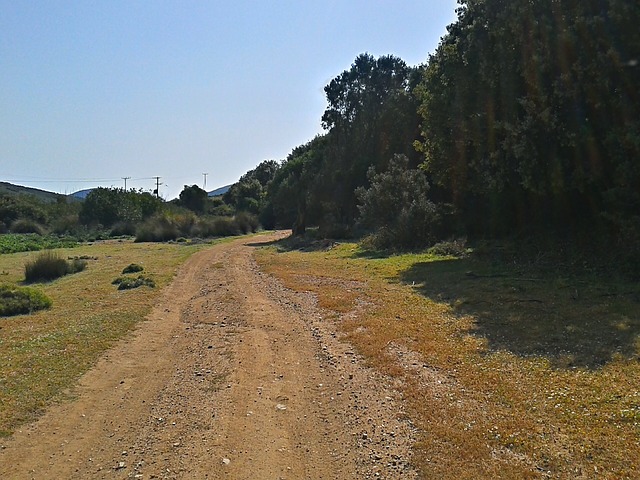 Weckroth Sari